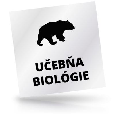 Učebňa biológie - čtvercové označení