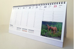 Firemní plánovací kalendář